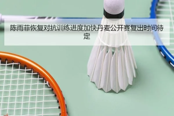 陈雨菲恢复对抗训练进度加快丹麦公开赛复出时间待定（beplay）