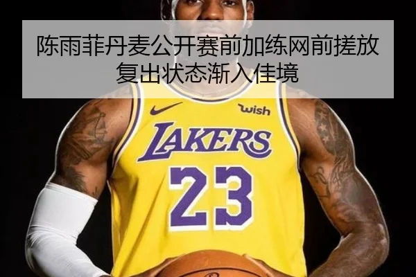 陈雨菲丹麦公开赛前加练网前搓放复出状态渐入佳境